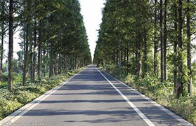 微山县林业局林场道路建设项目